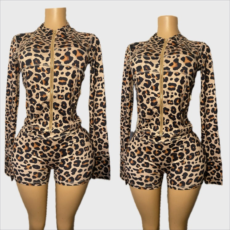 Leopard